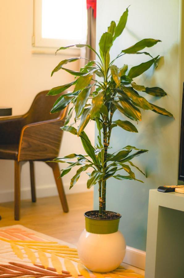 Bright Apartment Close To City Center Tirana Kültér fotó
